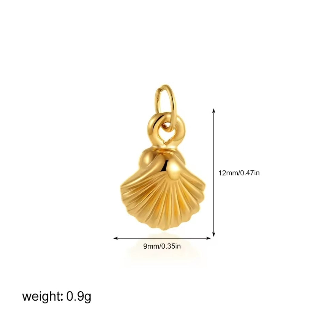 Scallop Sea Shell Small