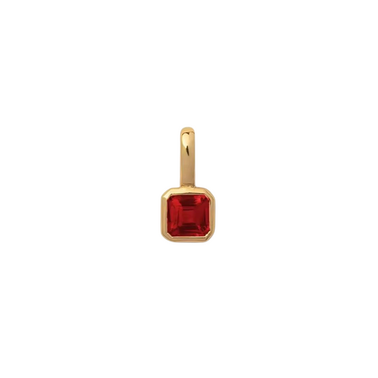 January Birthday Charm