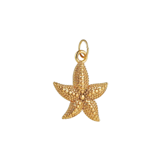 Star Fish Charm